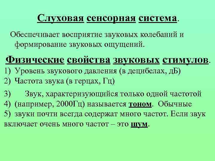 Слуховая сенсорная система. Обеспечивает восприятие звуковых колебаний и формирование звуковых ощущений. Физические свойства звуковых