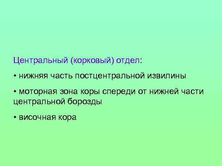 Центральный (корковый) отдел: • нижняя часть постцентральной извилины • моторная зона коры спереди от