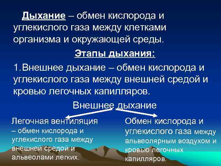 Дыхание – обмен кислорода и углекислого газа между клетками организма и окружающей среды. Этапы