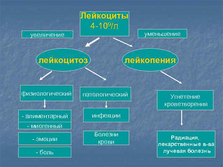 Лейкоциты 4 -109/л увеличение лейкоцитоз уменьшение лейкопения физиологический патологический - алиментарный инфекции Угнетение кроветворения