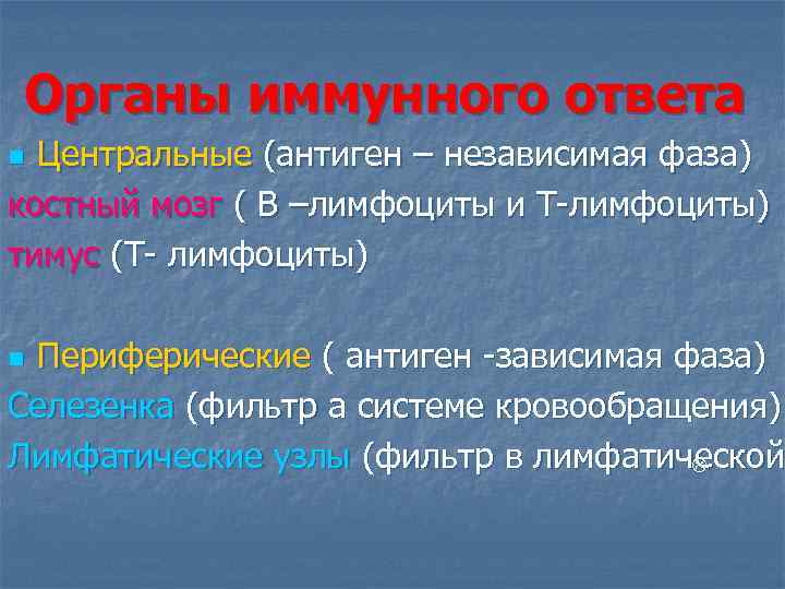 Органы иммунного ответа Центральные (антиген – независимая фаза) костный мозг ( В –лимфоциты и