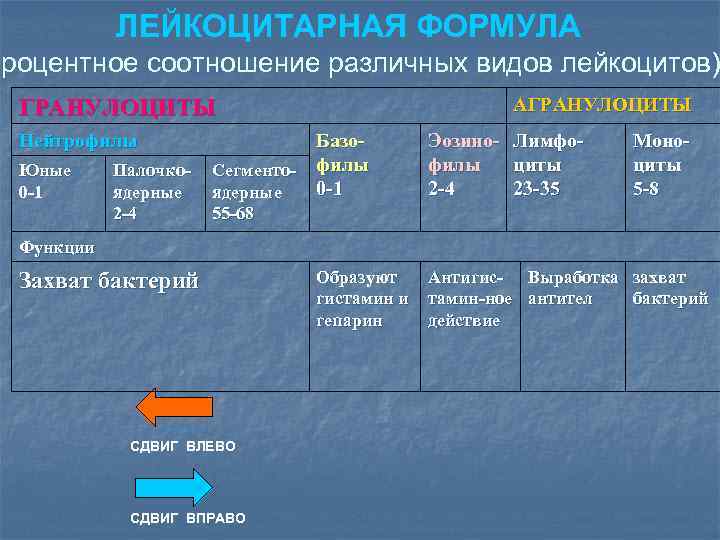 Лейкоцитарная формула означает