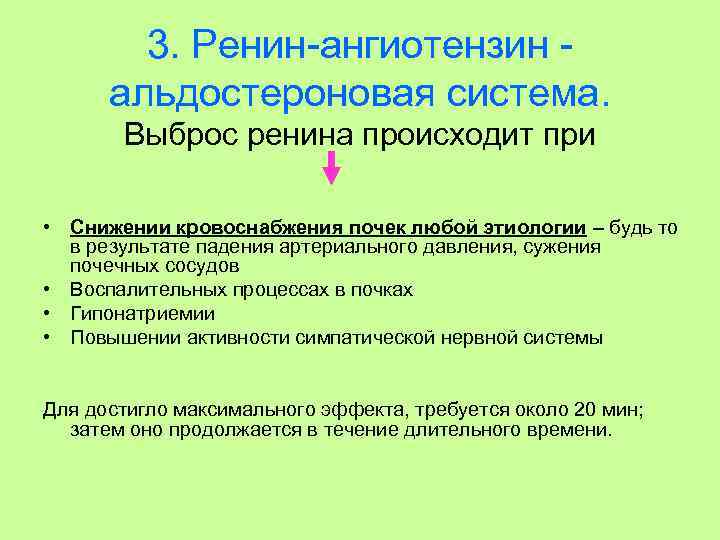 3. Ренин-ангиотензин альдостероновая система. Выброс ренина происходит при • Снижении кровоснабжения почек любой этиологии