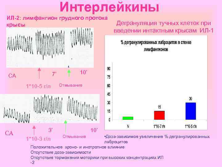 Интерлейкины ИЛ-2: лимфангион грудного протока крысы 7’ СА 1*10 -5 г/л СА Дегрануляция тучных