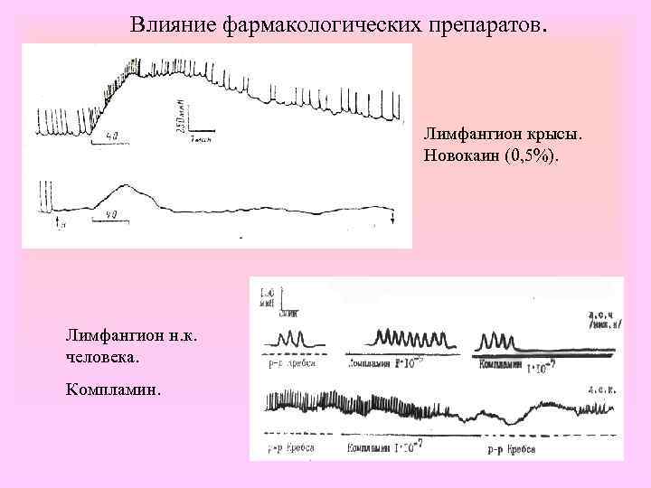 Влияние фармакологических препаратов. Лимфангион крысы. Новокаин (0, 5%). Лимфангион н. к. человека. Компламин. 