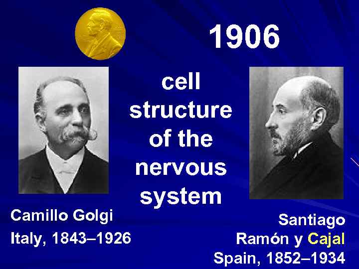 1906 cell structure of the nervous system Camillo Golgi Italy, 1843– 1926 Santiago Ramón