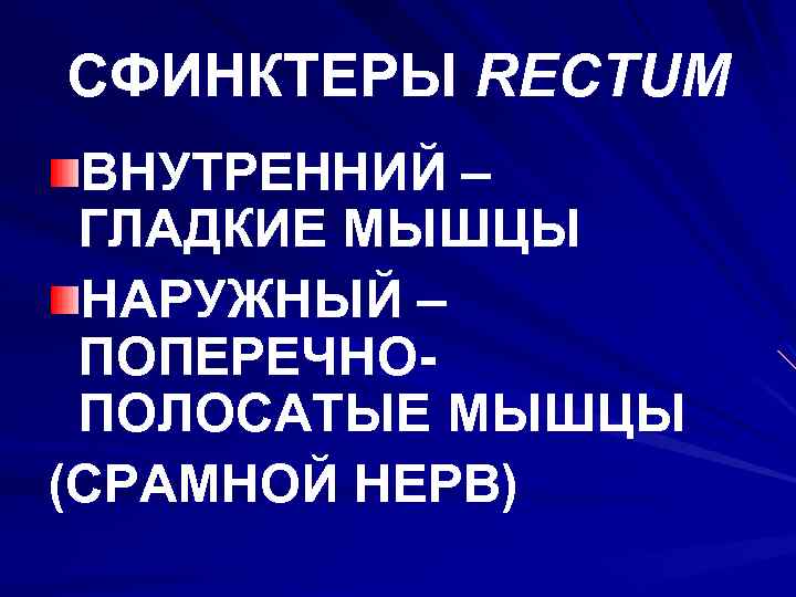 СФИНКТЕРЫ RECTUM ВНУТРЕННИЙ – ГЛАДКИЕ МЫШЦЫ НАРУЖНЫЙ – ПОПЕРЕЧНОПОЛОСАТЫЕ МЫШЦЫ (СРАМНОЙ НЕРВ) 