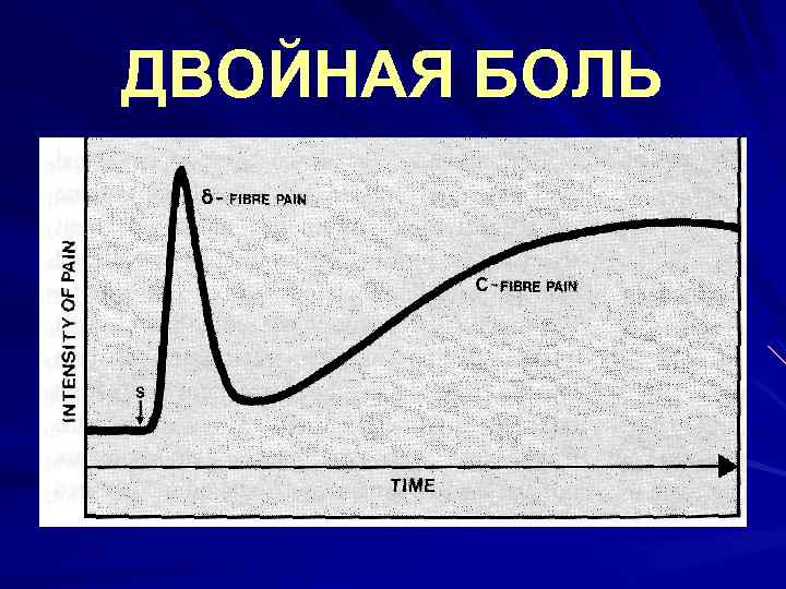 ДВОЙНАЯ БОЛЬ 