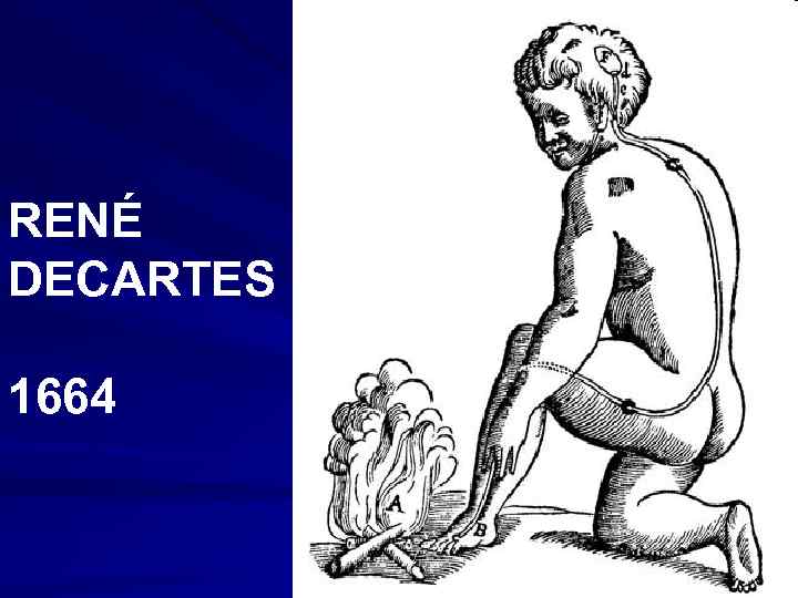 RENÉ DECARTES 1664 