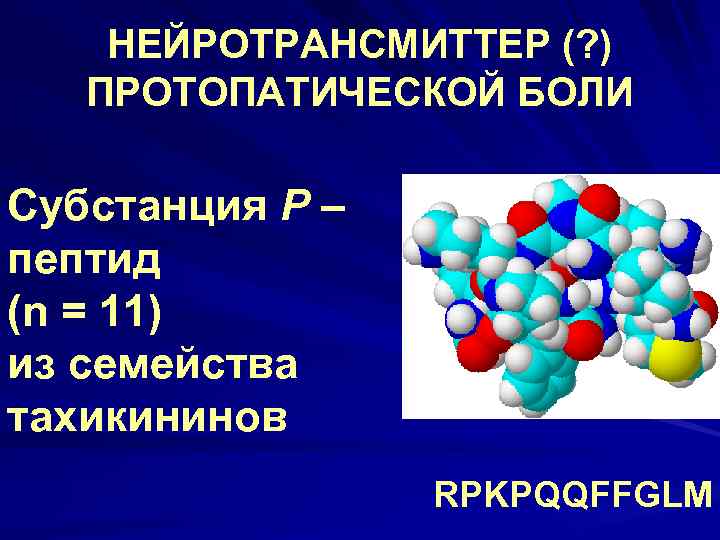НЕЙРОТРАНСМИТТЕР (? ) ПРОТОПАТИЧЕСКОЙ БОЛИ Субстанция Р – пептид (n = 11) из семейства