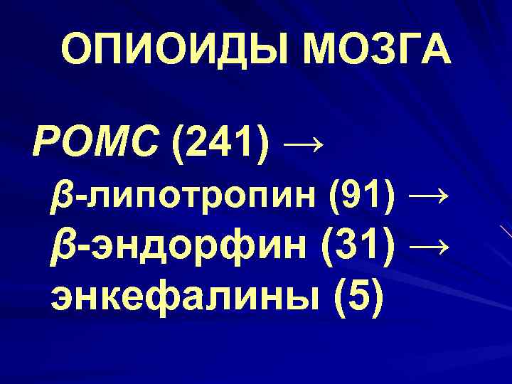 ОПИОИДЫ МОЗГА POMC (241) → β-липотропин (91) → β-эндорфин (31) → энкефалины (5) 