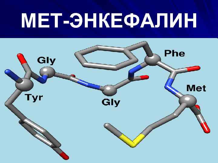 МЕТ-ЭНКЕФАЛИН 