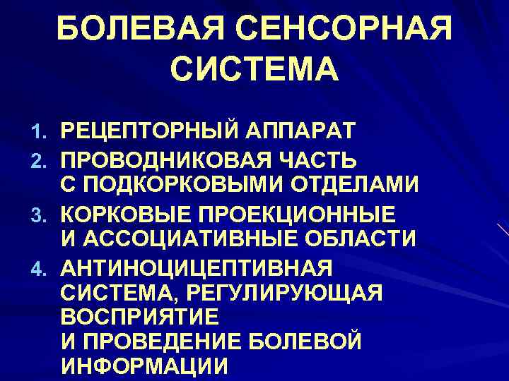 Система боли