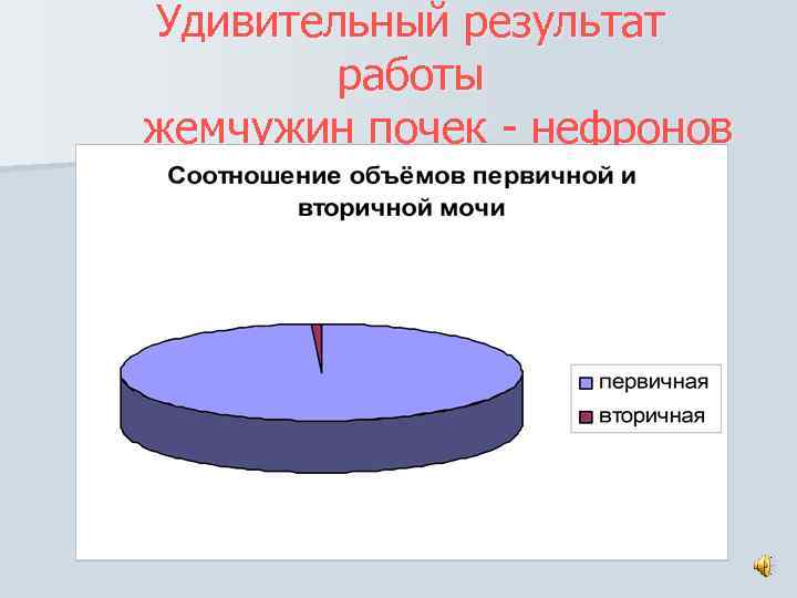 Удивительный результат работы жемчужин почек - нефронов 