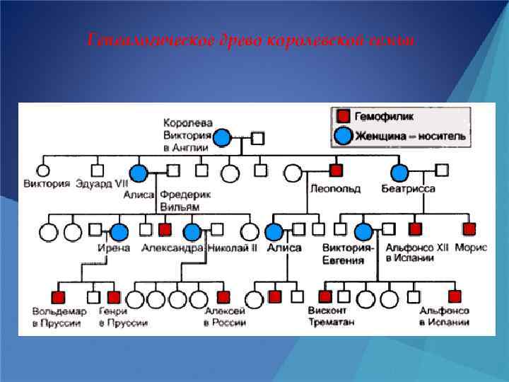 Генеалогическое древо королевской семьи 