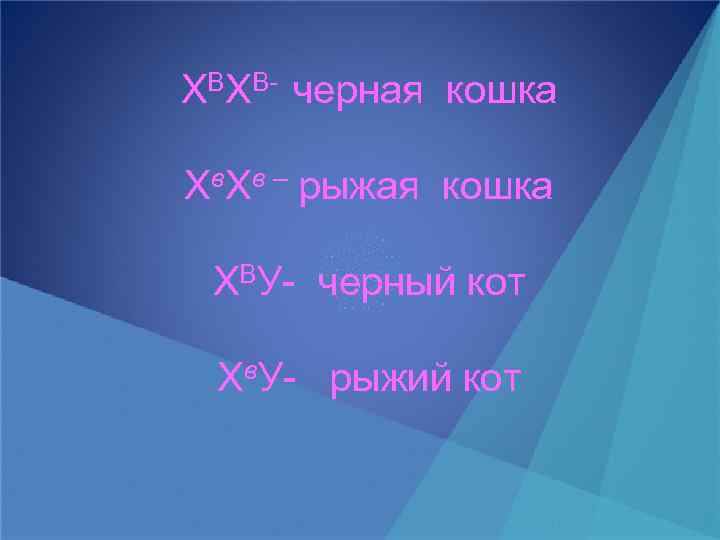 ХВХВ- черная кошка Хв. Хв – рыжая кошка ХВУ- черный кот Хв. У- рыжий