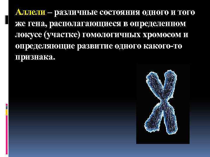 Аллели – различные состояния одного и того же гена, располагающиеся в определенном локусе (участке)