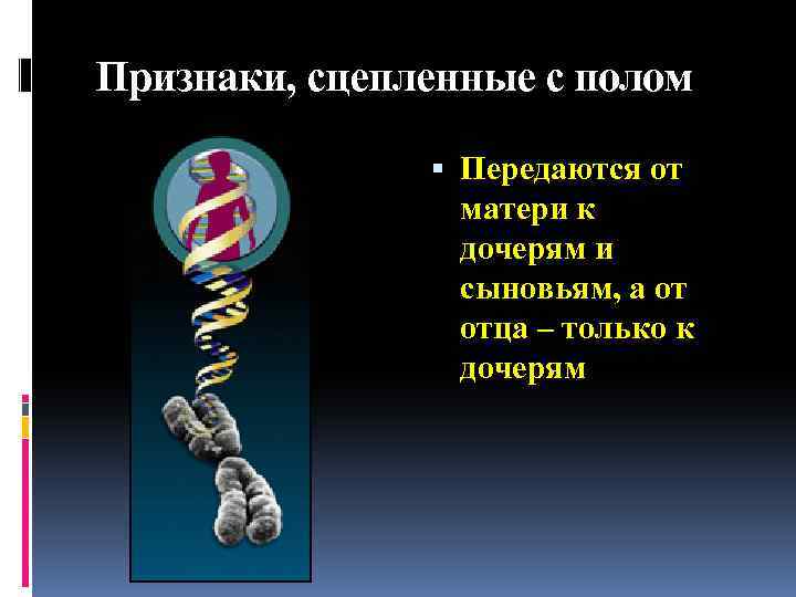 Признаки, сцепленные с полом Передаются от матери к дочерям и сыновьям, а от отца