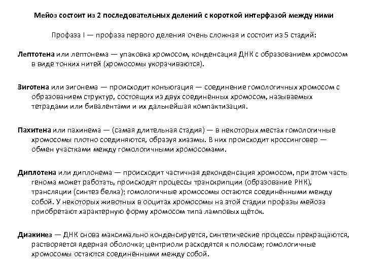 Мейоз состоит из 2 последовательных делений с короткой интерфазой между ними Профаза I —