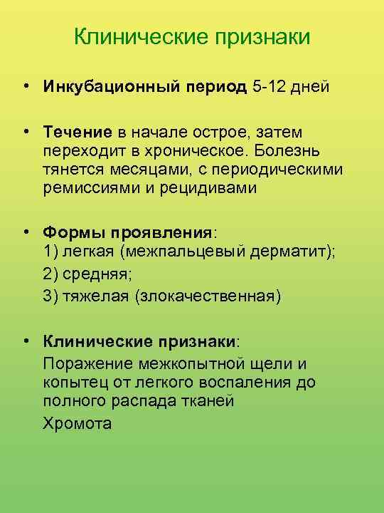 Клинические признаки • Инкубационный период 5 -12 дней • Течение в начале острое, затем