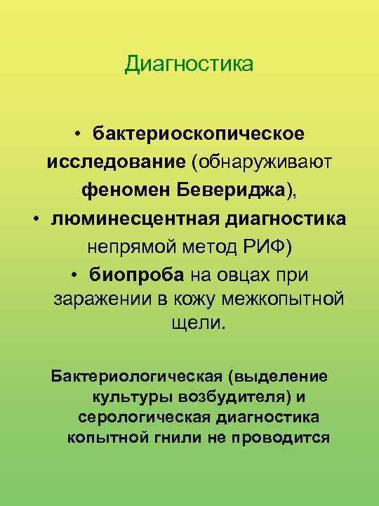 Диагностика • бактериоскопическое исследование (обнаруживают феномен Бевериджа), • люминесцентная диагностика непрямой метод РИФ) •