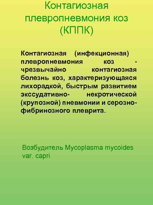 Контагиозная плевропневмония коз (КППК) Контагиозная (инфекционная) плевропневмония коз чрезвычайно контагиозная болезнь коз, характеризующаяся лихорадкой,