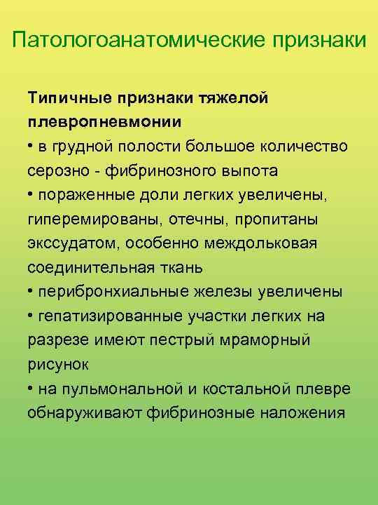 Патологоанатомические признаки Типичные признаки тяжелой плевропневмонии • в грудной полости большое количество серозно -