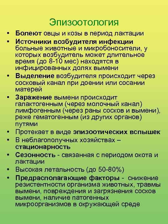 Эпизоотология • Болеют овцы и козы в период лактации • Источники возбудителя инфекции больные