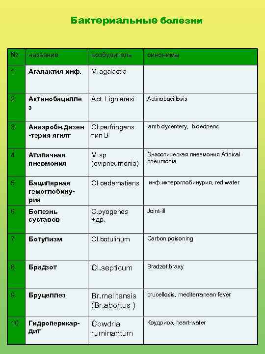 Бактериальные болезни № название возбудитель синонимы 1 Агалактия инф. M. agalactia 2 Актинобацилле з