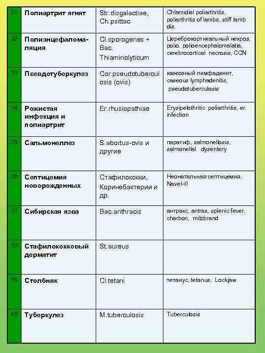 31 Полиартрит ягнят Str. disgalactiae, Ch. psittac Chlamidial poliarthritis, poliarthritis of lambs, stiff lamb