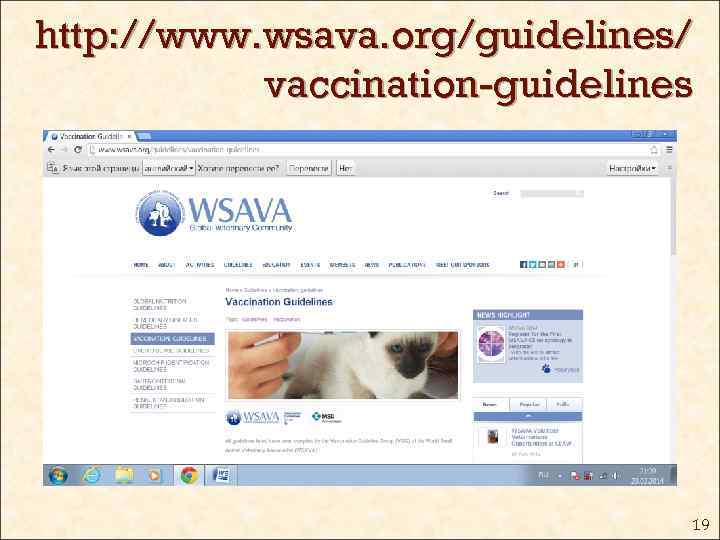 http: //www. wsava. org/guidelines/ vaccination-guidelines 19 