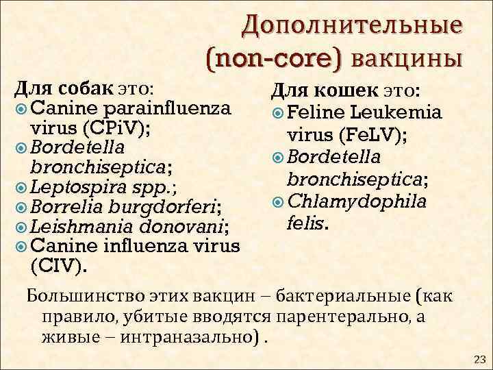 Дополнительные (non-core) вакцины Для собак это: Canine parainfluenza virus (CPi. V); Bordetella bronchiseptica; Leptospira