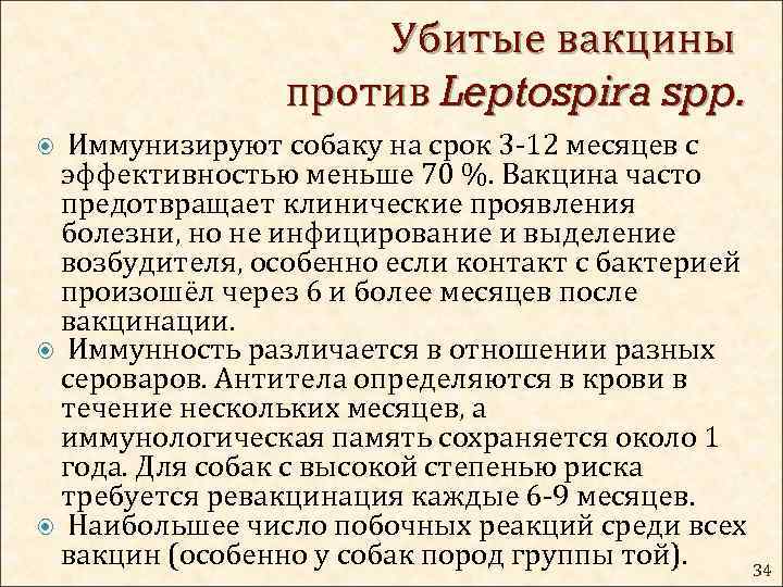 Убитые вакцины против Leptospira spp. Иммунизируют собаку на срок 3 -12 месяцев с эффективностью