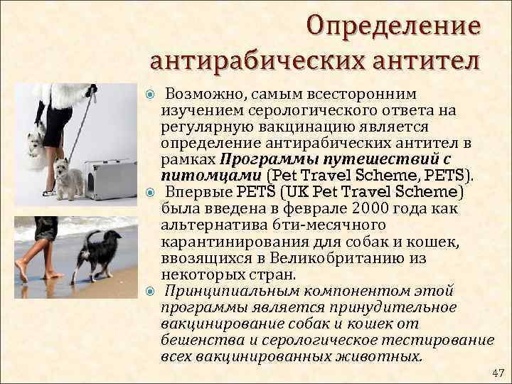 Определение антирабических антител Возможно, самым всесторонним изучением серологического ответа на регулярную вакцинацию является определение