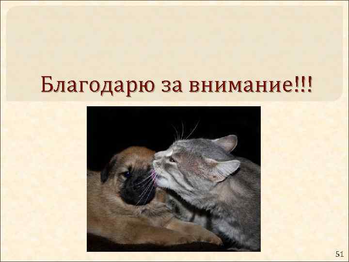 Благодарю за внимание!!! 51 