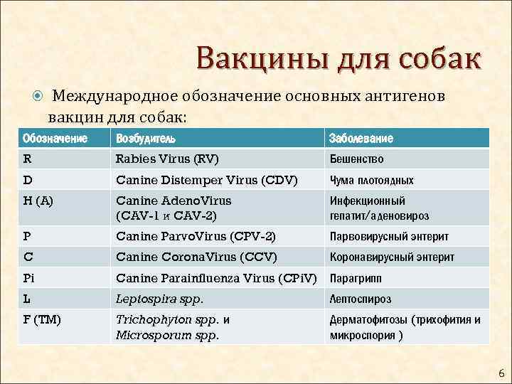 Вакцины для собак Международное обозначение основных антигенов вакцин для собак: Обозначение Возбудитель Заболевание R