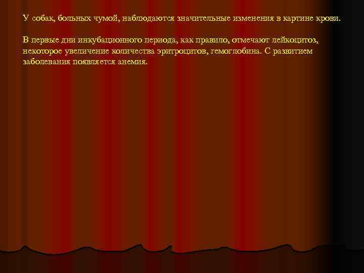 У собак, больных чумой, наблюдаются значительные изменения в картине крови. В первые дни инкубационного