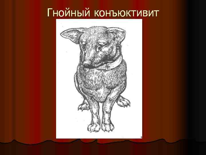 Гнойный конъюктивит 