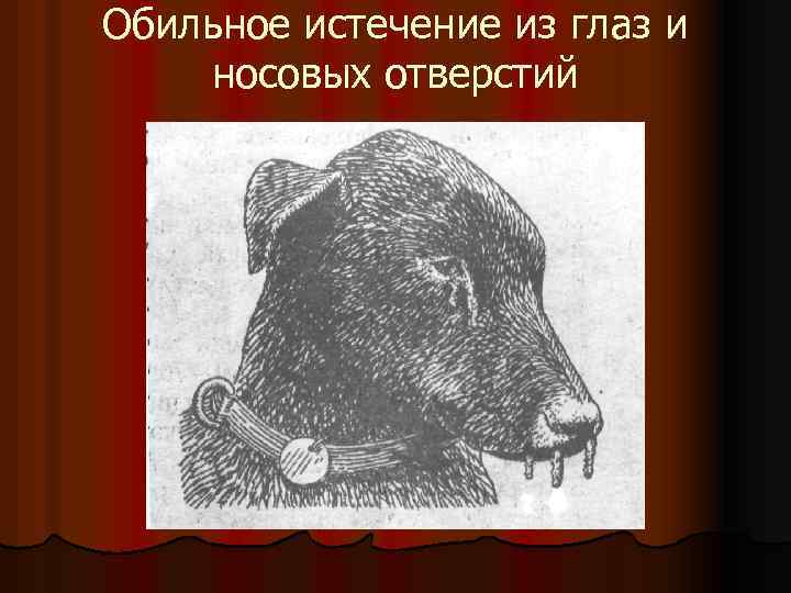 Обильное истечение из глаз и носовых отверстий 