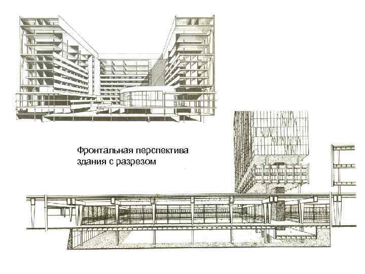 Фронтальная перспектива здания с разрезом 