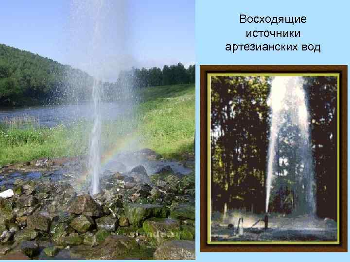Восходящие источники артезианских вод 