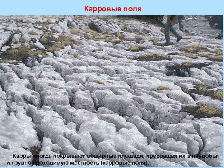 Карровые поля Карры иногда покрывают обширные площади, превращая их в неудобья и трудно проходимую
