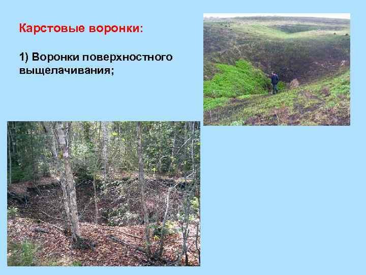 Карстовые воронки: 1) Воронки поверхностного выщелачивания; 