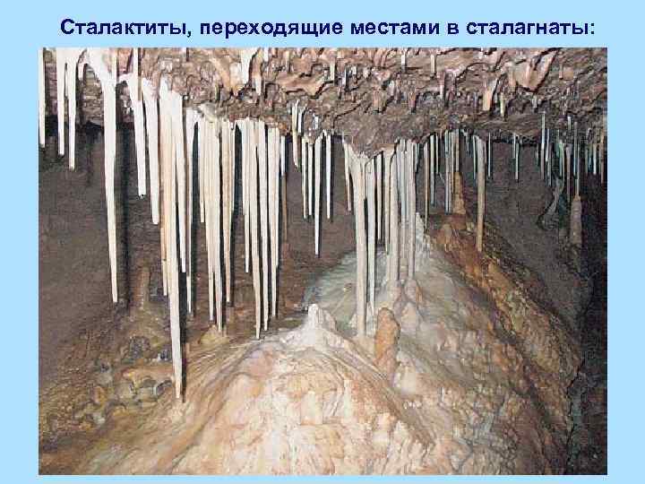 Сталактиты, переходящие местами в сталагнаты: 