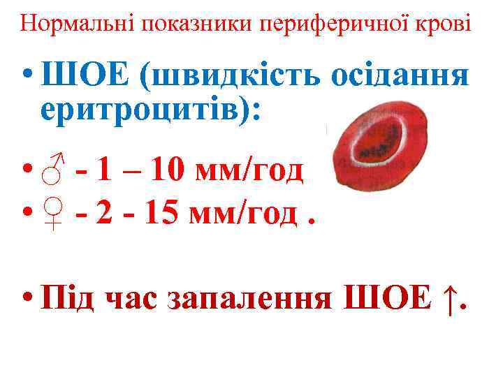 Нормальні показники периферичної крові • ШОЕ (швидкість осідання еритроцитів): • ♂ - 1 –