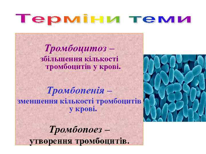 Тромбоцитоз – збільшення кількості тромбоцитів у крові. Тромбопенія – зменшення кількості тромбоцитів у крові.