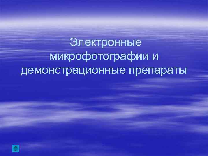 Электронные микрофотографии и демонстрационные препараты 