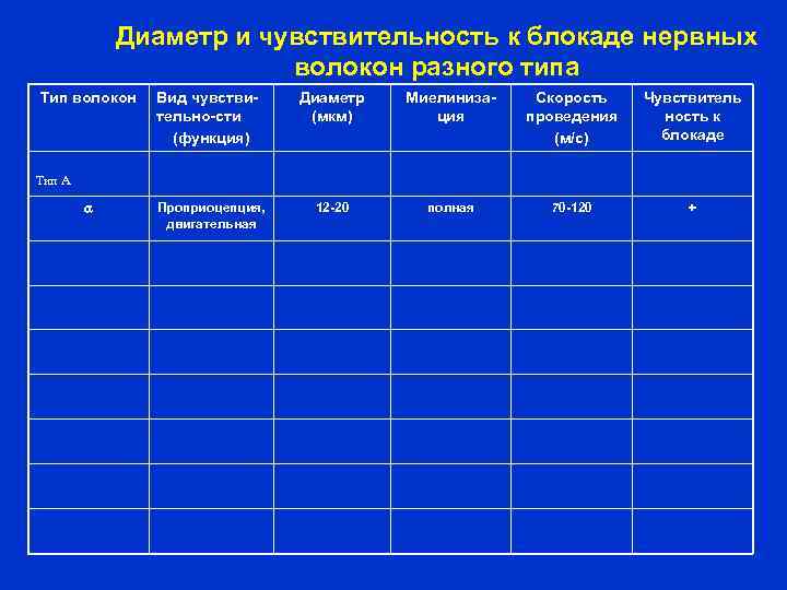 Диаметр и чувствительность к блокаде нервных волокон разного типа Тип волокон Вид чувстви тельно