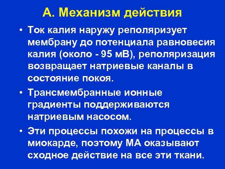 А. Механизм действия • Ток калия наружу реполяризует мембрану до потенциала равновесия калия (около