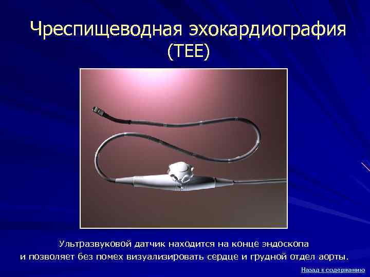 Чреспищеводная эхокардиография (TEE) Ультразвуковой датчик находится на конце эндоскопа и позволяет без помех визуализировать